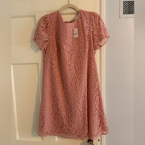 LOFT Blush Floral Lace Dress